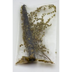 Beeswax Candle with wormwood
