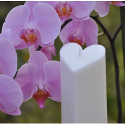 Stearin Candle Heart