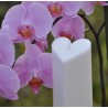 Stearin Candle Heart