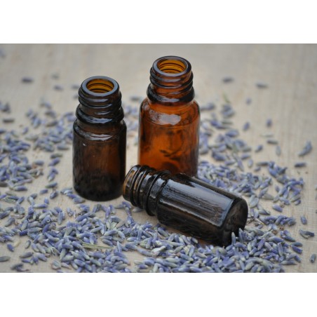 Strawberry Fragrance Oil 10 ml