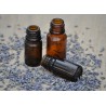Strawberry Fragrance Oil 10 ml