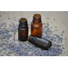 Palo Santo ароматическое масло 10 мл